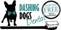 Dashing Dogs Dental image 2