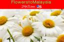 Flowerstomalaysia24x7 logo
