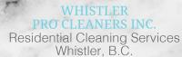 Whistler Pro Cleaners INC. image 4