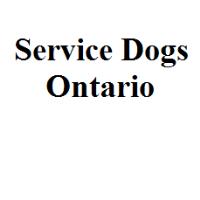 Service Dogs Ontario image 1