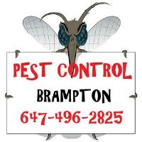 GTA Toronto Pest Control - Brampton image 3