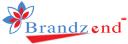 BrandZend Int logo