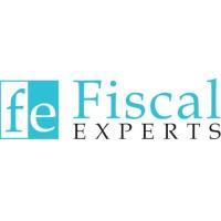 Fiscal Experts image 4
