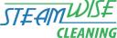 Steamwise Cleaning logo