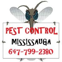 GTA Toronto Pest Control – Mississauga image 3