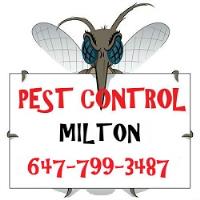 GTA Toronto Pest Control – Milton image 3