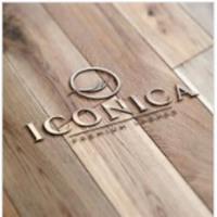 ICONICA Lashes image 1