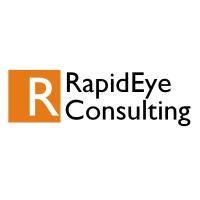 RapidEye Consulting image 1