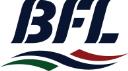 Bay Ferries Ltd. - The Fundy Rose logo