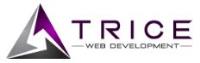 Trice Web Development image 1