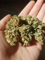 Buy Marijuana Online image 1