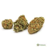 Canada Mail Order Marijuana image 9