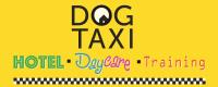 Dog Taxi Daycare & Dog Hotel image 1