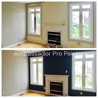 Ambassador Pro Painters image 1
