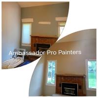 Ambassador Pro Painters image 2