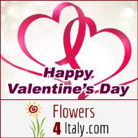 Italy_flowrs2 image 1