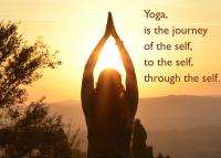 Sacred Seed Yoga and Ayurveda image 2