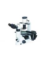 Microscope image 2