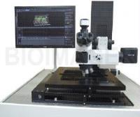 Microscope image 3