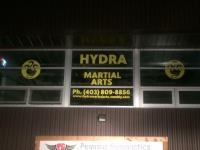 Hydra Martial Arts image 2