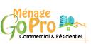 Go Pro Cleaning logo