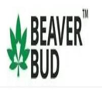 Beaver Bud image 1