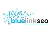 Blue Link SEO image 1