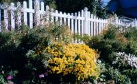 Vinyl Fencing Products  image 29