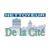 Nettoyeur de la Cité image 1