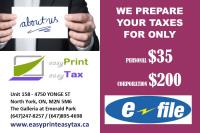 Easy Print Easy Tax image 2