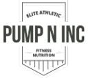 Pump N Inc logo