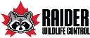 Raider Wildlife Control logo