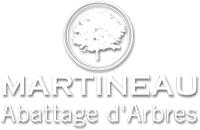 MARTINEAU ABATTAGE D'ARBRES image 6