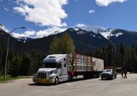 T-Lane Nation image 3