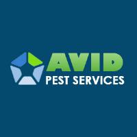 Avid Pest image 1