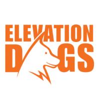Elevation Dogs image 1
