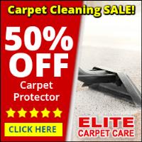 Elite Carpet Care image 2