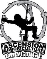 Ascension Arboriculture Elagage image 1