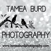 Tamea Burd Photography image 1