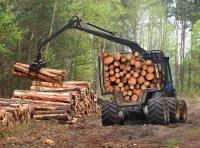 Don Barrons Logging LTD image 2