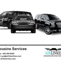 a absolute best limo service image 3
