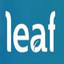 Leaf Design logo