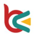 Web Design Toronto - Branex logo