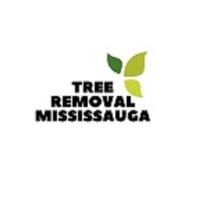 Tree Removal Mississauga image 1