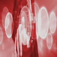 Zone Infotech image 2