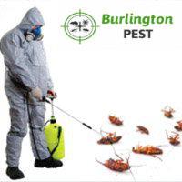 Pest Control Burlington image 1