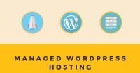 WPOven Managed WordPress Hosting image 1