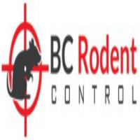 Rodent Control Vancouver image 1