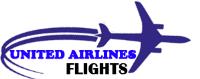 united-airlines-flight image 3