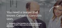 Marijuana - Cannabis Lawyer in Toronto image 1